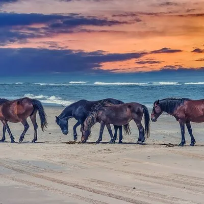 Wright Brothers National Memorial